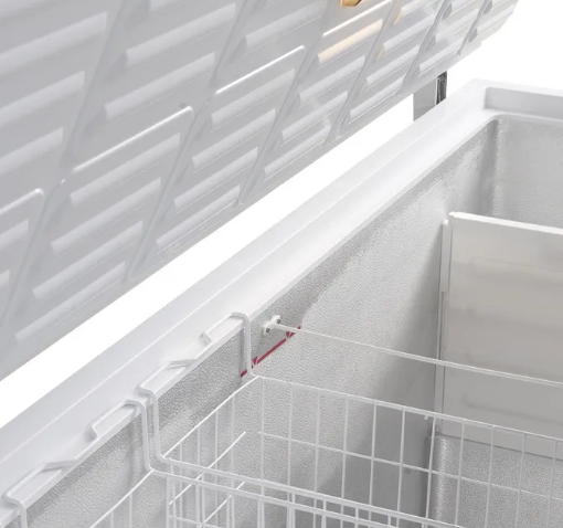 DIEPVRIESKIST TEFCOLD FR 605 SL