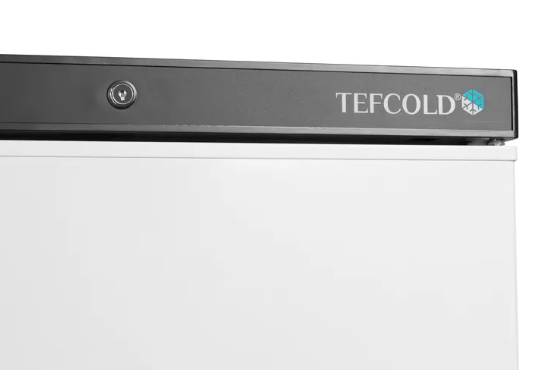 Tefcold Professionele vrieskast UF 200 V 