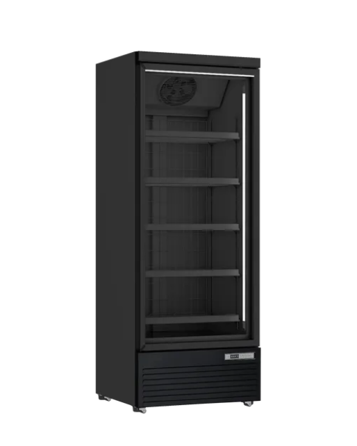 Scancool  DC614BB koelkast met glazen draaideuren 